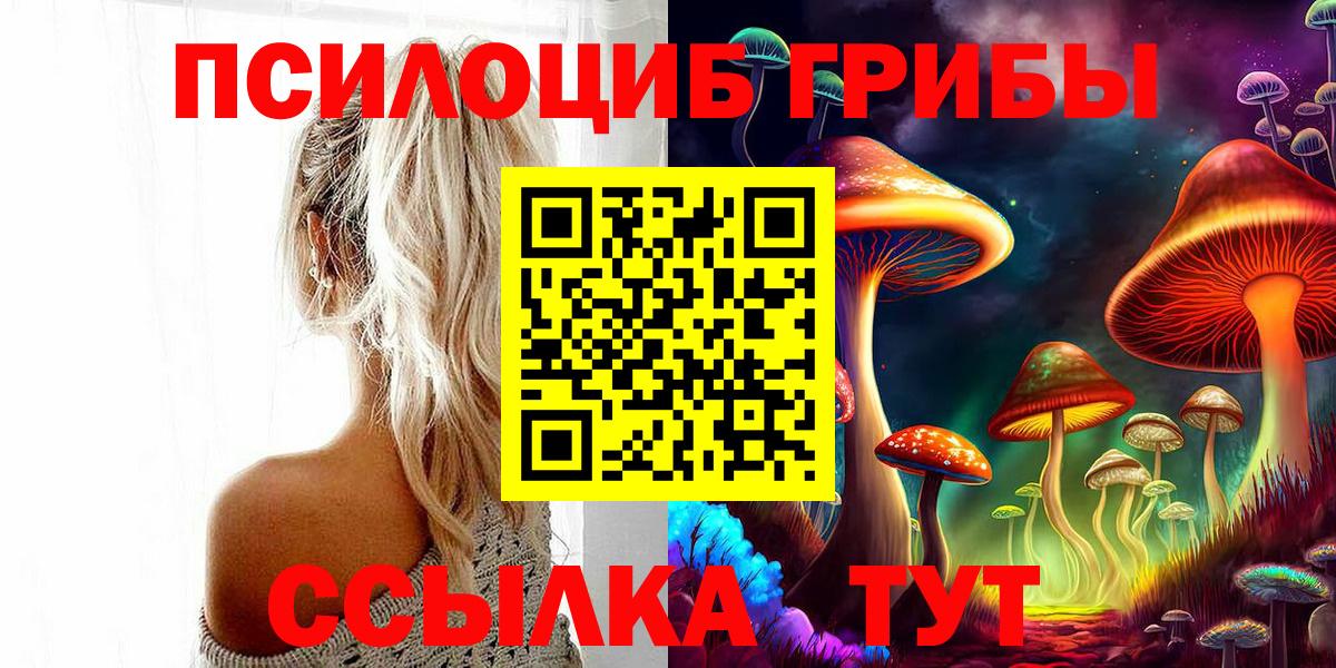 Усть-Илимск  Псилоцибиновые грибы GOLDEN TEACHER  Вход с VPN 